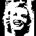 mg_avatar_116_116.png